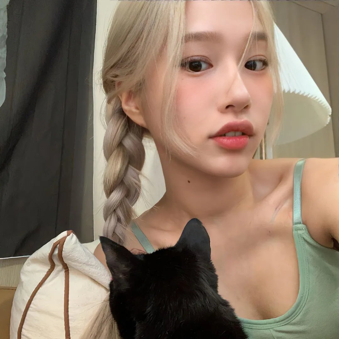 兔子的月亮