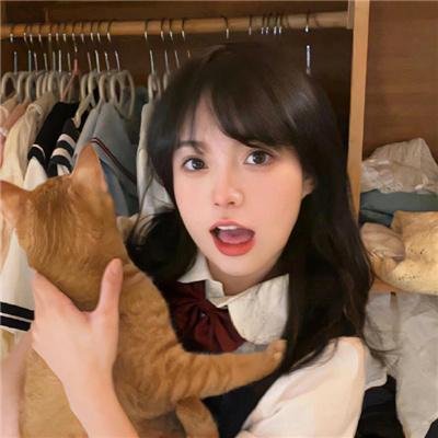 游击飞行中队